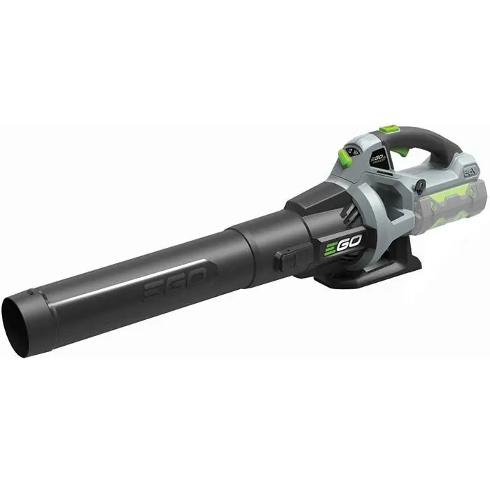 Endast idag Lövblås